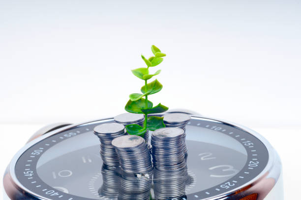 istock coins with plant and clock, isolated on white background. savings concept 1029914902