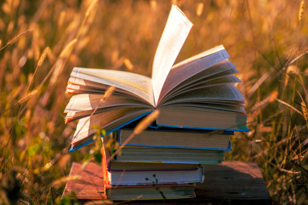 istock Open book on wooden table on natural background. Soft focus 1029915522