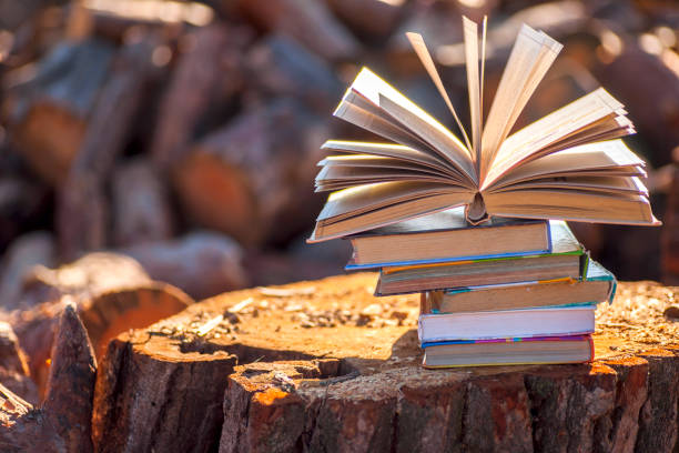 istock Open book on wooden table on natural background. Soft focus 1029915524