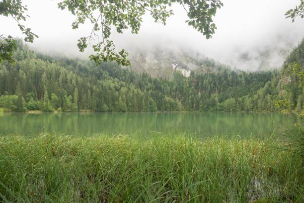 istock Nature shot at the Gleinkersee in Austria 1029918534