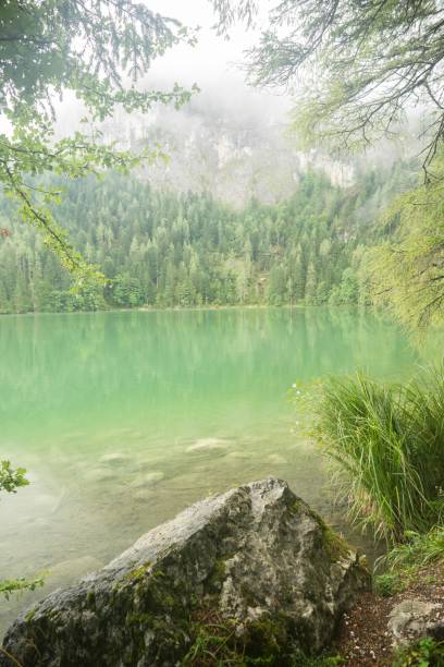 istock Nature shot at the Gleinkersee in Austria 1029921340