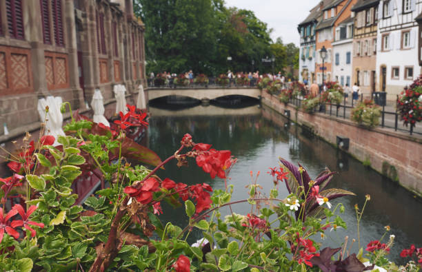 istock Little Venice in Colmar 1029921438