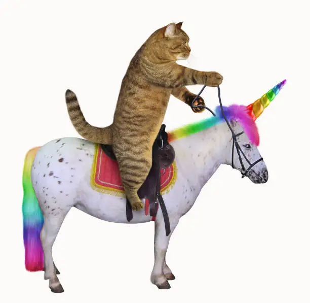 Photo of Cat rides the unicorn
