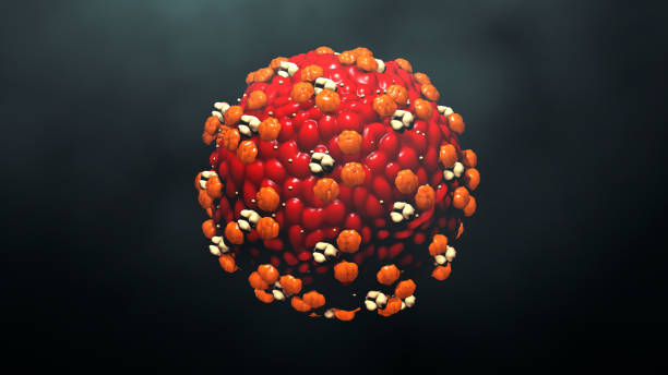 istock Measles virus or virus 1029925404