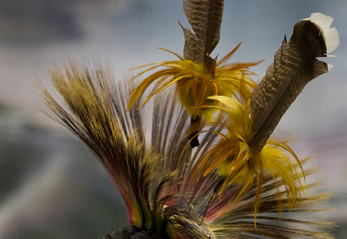 Abstract Single White Bird Feather Falling in The Air. Softness of Swan Feather