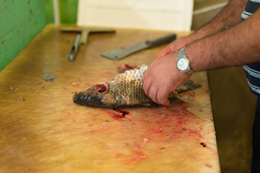 Cleaning a carp fish