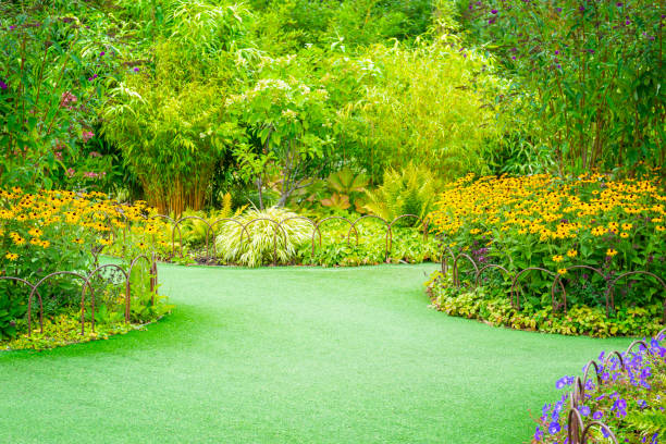 istock Black-eyed Susan and artificial turf 1029925826