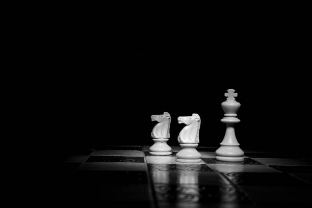 istock Chess photographed on a chessboard 1029939258