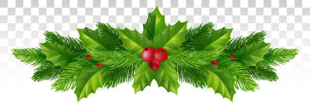 illustrations, cliparts, dessins animés et icônes de hiver décor festif de branches d’arbres de noël et holly feuilles avec des fruits rouges. illustration vectorielle. eps 10. - christmas tree christmas holly holiday