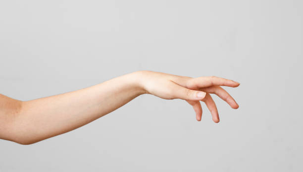 istock Female hand touching on gray background 1029940380