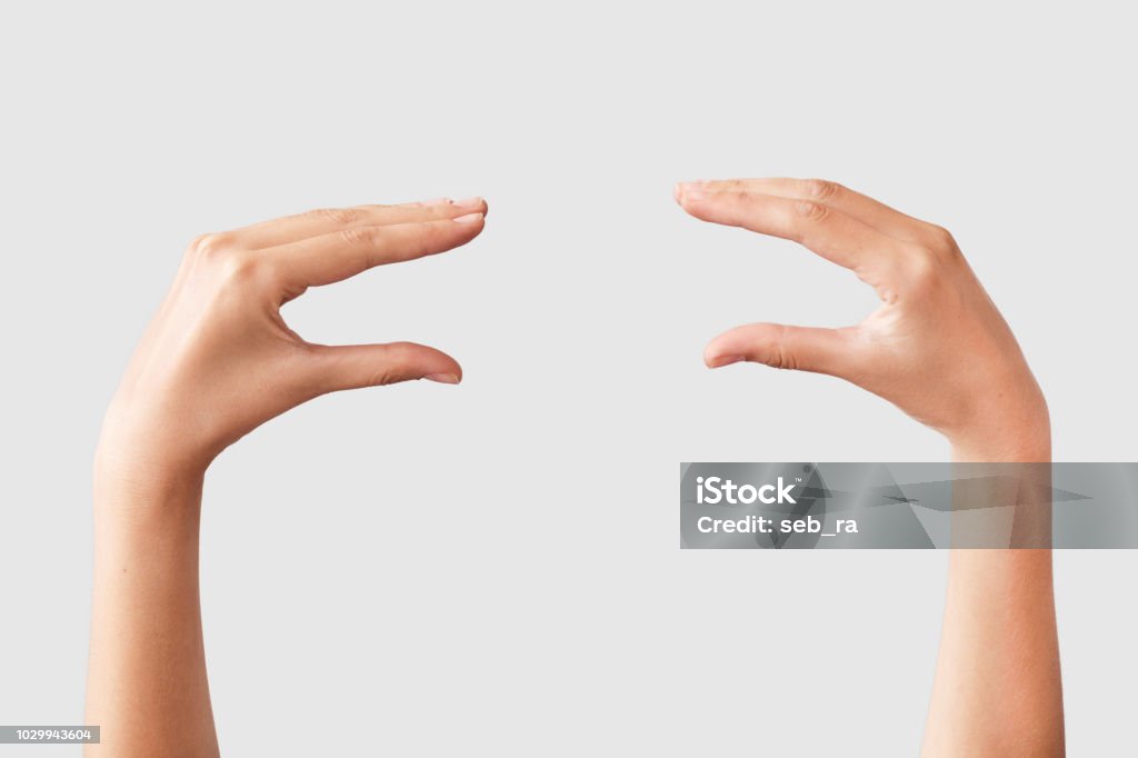 Female hand holding something on isolated background Sandwich Stock Photo