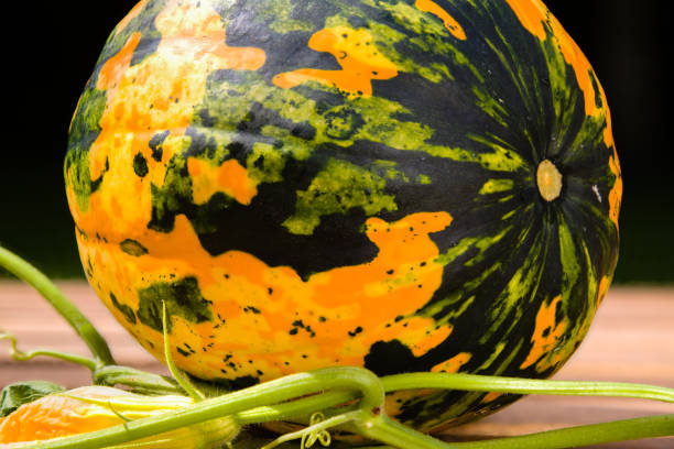 istock Autumn yellow-green pumpkin 1029949738