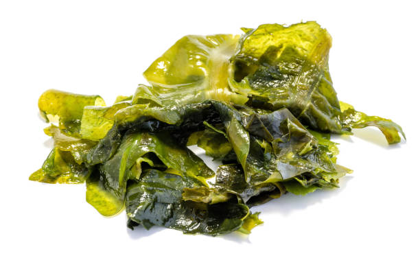 istock Green wakame alga isolated on white background 1029961926