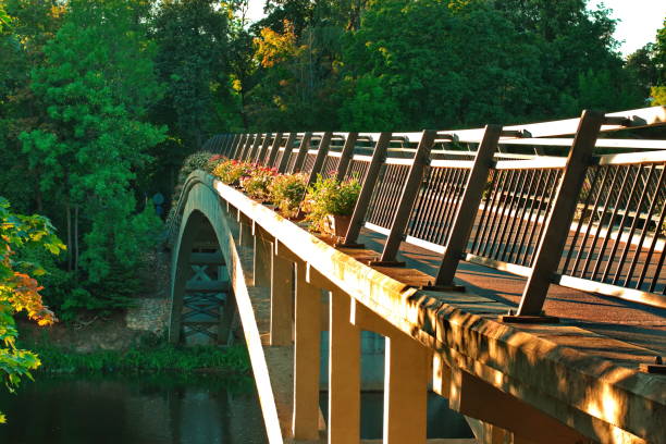 istock Pedestraiins bridge over the river 1029967992