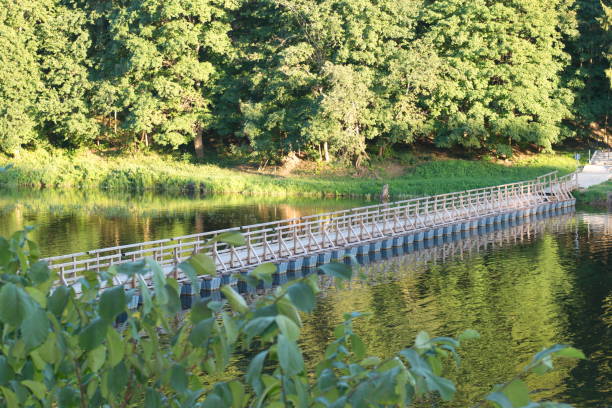 istock Pedestraiins bridge over the river 1029968016