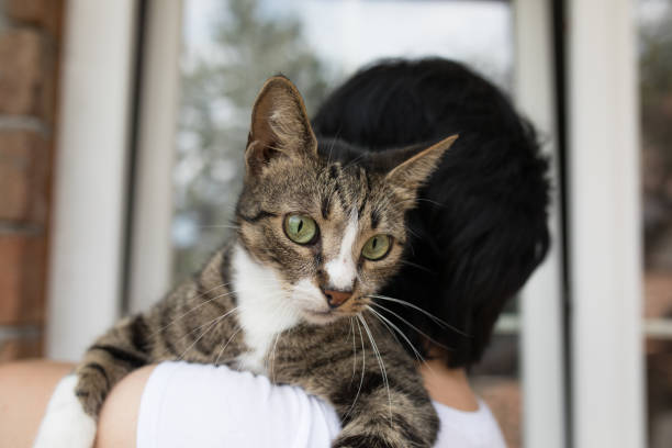 istock Unrecognizable young woman holding her striped cat 1029980080