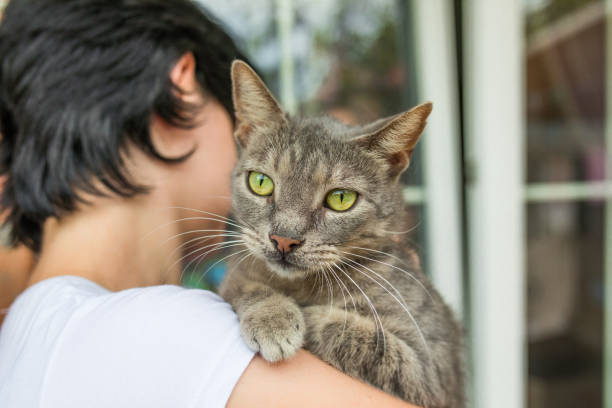 istock Unrecognizable young woman holding her striped cat 1029984538