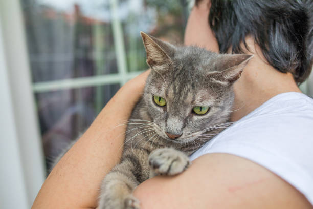 Unrecognizable young woman holding her striped cat