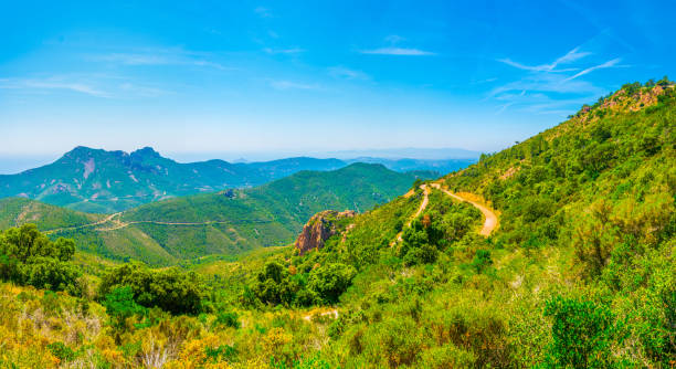 istock Esterel Massif in France 1029990192