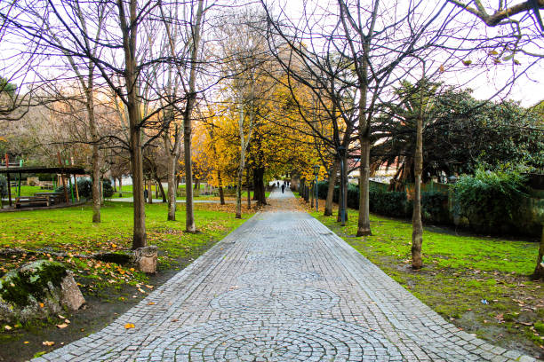 istock Autumn Woodland Trail 1029990212