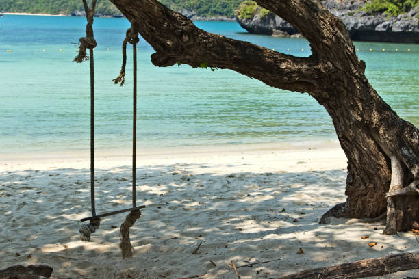 istock A travel & leisure background image consisting of a swing hanging from a tree on a deserted island near Koh Samui, Thailand. 1029992986