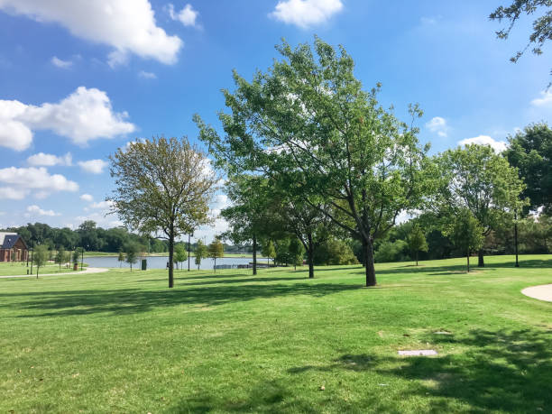 istock Beautiful green park with pathway trail in Coppell, Texas, USA 1029993626