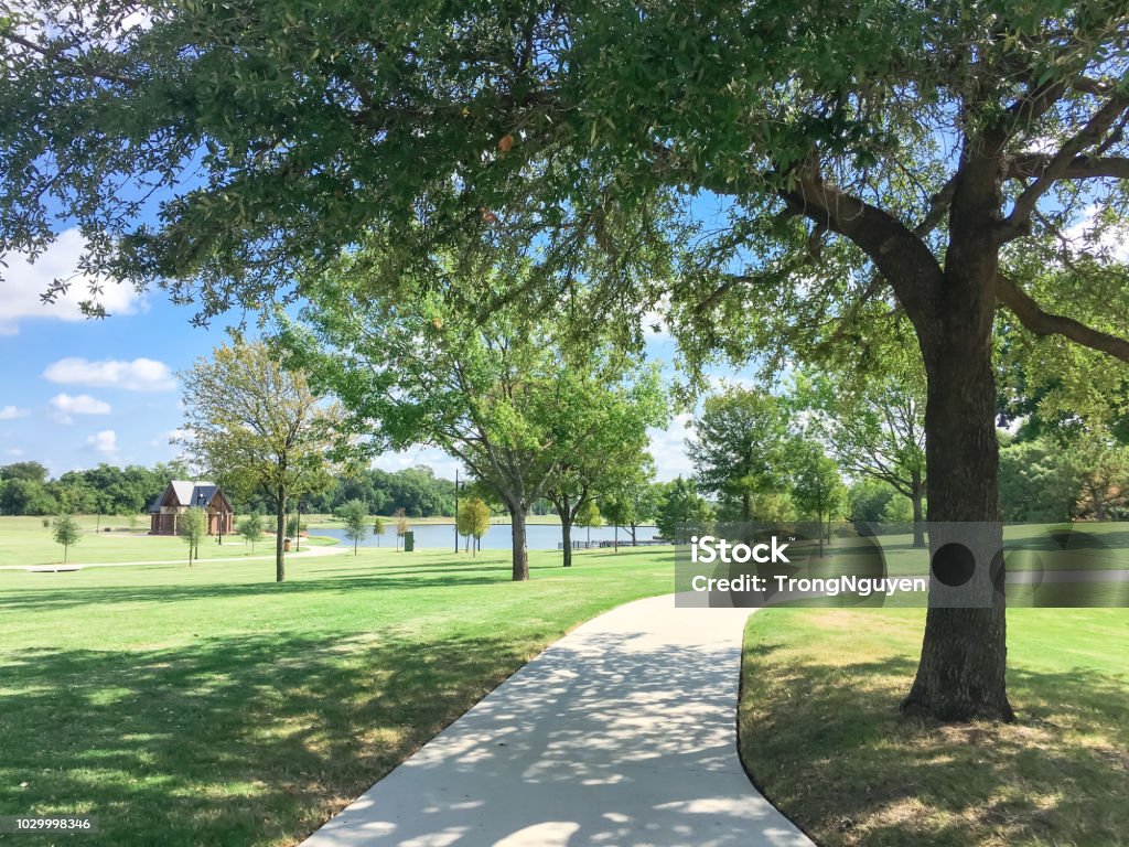 Beautiful green park with pathway trail in Coppell, Texas, USA Green and clean lakeside park with pathway trail system in Coppell, Texas, USA. Grassy lawn park with mature trees under sunny summer cloud blue sky Texas Stock Photo