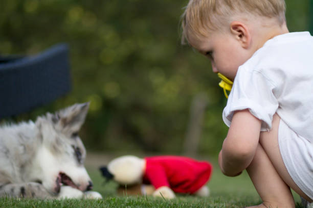istock boy with pacifier in the garden 1030003682