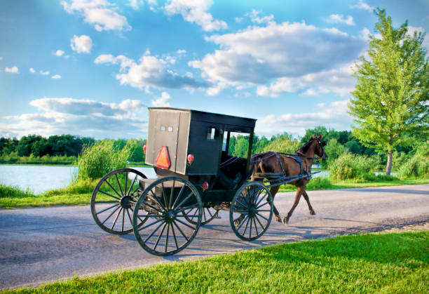 Buggy at the Lake An Amish Buggy passes a lake on a bright sunny day. amish photos stock pictures, royalty-free photos & images