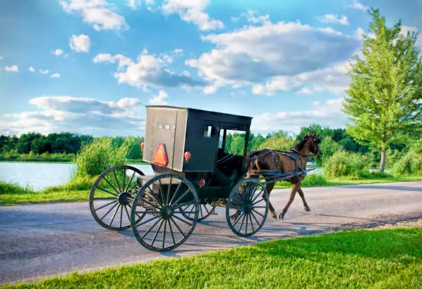 An Amish Buggy passes a lake on a bright sunny day.