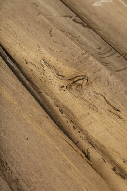 istock Veneer made from old oak, texture of wood 1030012880