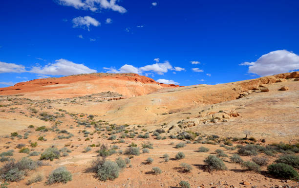 istock Landscape with a desert and blue sky 1030021464