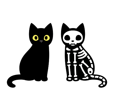 Cartoon black cat drawing with skeleton, cute Schrodinger's cat illustration. Funny Halloween clip art design.