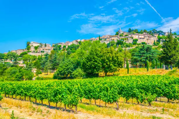 Bonnieux village in France viewed behind vineyards