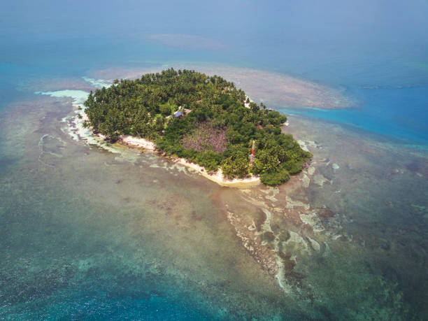 istock Small green coral island 1030027580