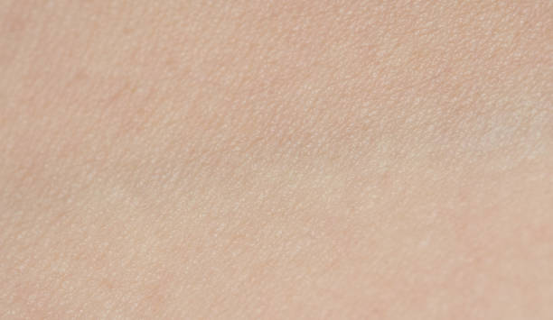 istock Caucasian human skin texture 1030027588