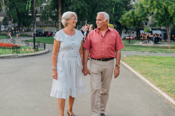 istock Senior couple drinking wine on a picnic and smiling 1030030192