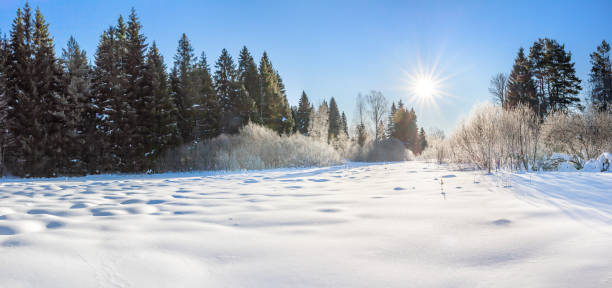 paysage d’hiver avec la forêt, la neige, ciel bleu et soleil - frozen ice sky sun photos et images de collection