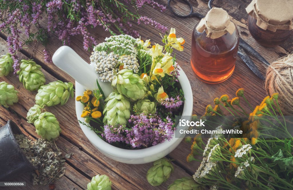 Mortar of medicinal herbs, healthy plants, bottle of tincture or infusion. Top view. Herbal medicine. Herbal Medicine Stock Photo