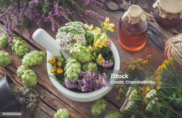 Mortar Of Medicinal Herbs Healthy Plants Bottle Of Tincture Or Infusion Top View Herbal Medicine Stock Photo - Download Image Now