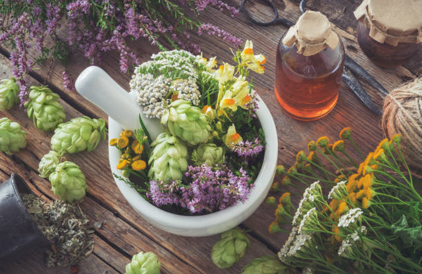 argamassa de ervas medicinais, plantas saudáveis, frasco de infusão ou tintura. vista superior. medicina erval. - homeopatic medicine - fotografias e filmes do acervo