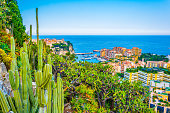 Aerial view of the old town of Monaco and port de fontvieille from jardin exotique botanical garden