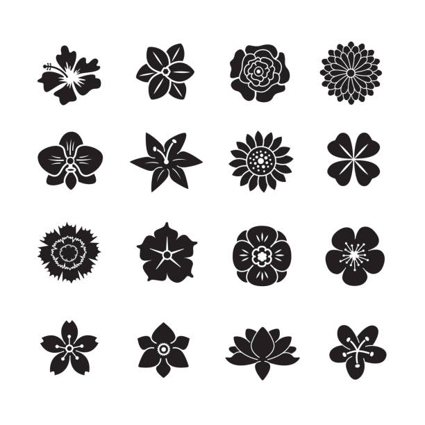 blume icon-set - orchidee stock-grafiken, -clipart, -cartoons und -symbole