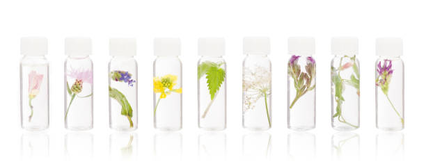 istock Natural remedies - FLORITERAPIA Bacha. 1030085780