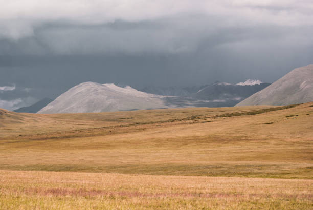 istock Alpine scenery at Altai Mountains 1030085796