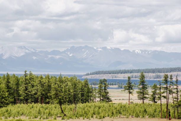 istock Forest and mountains at Lake Khuvsgu 1030092508