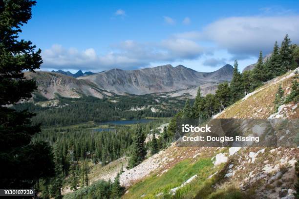 Parco Nazionale Delle Montagne Rocciose Paesaggio Estivo - Fotografie stock e altre immagini di Colorado