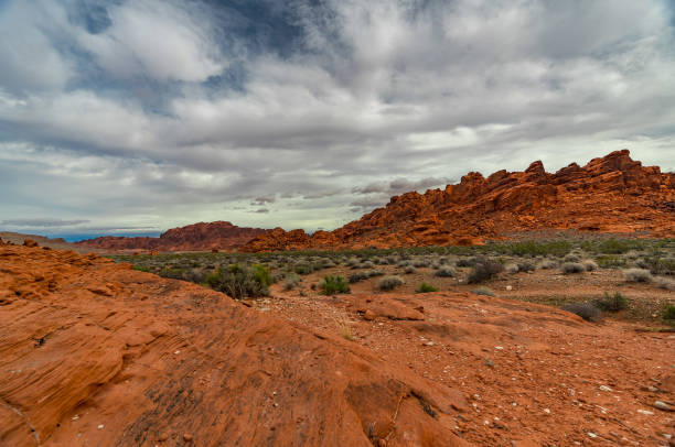 istock Red Desert Landscape at Valley of Fire 1030107344