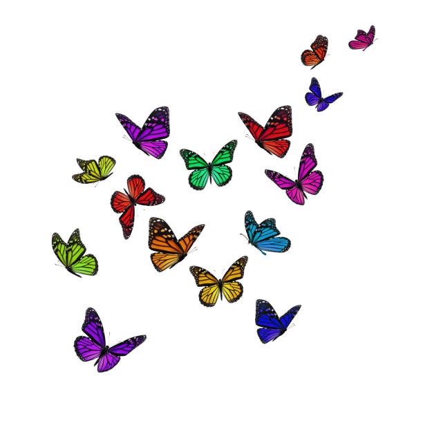 istock Beautiful monarch butterfly 1030122068