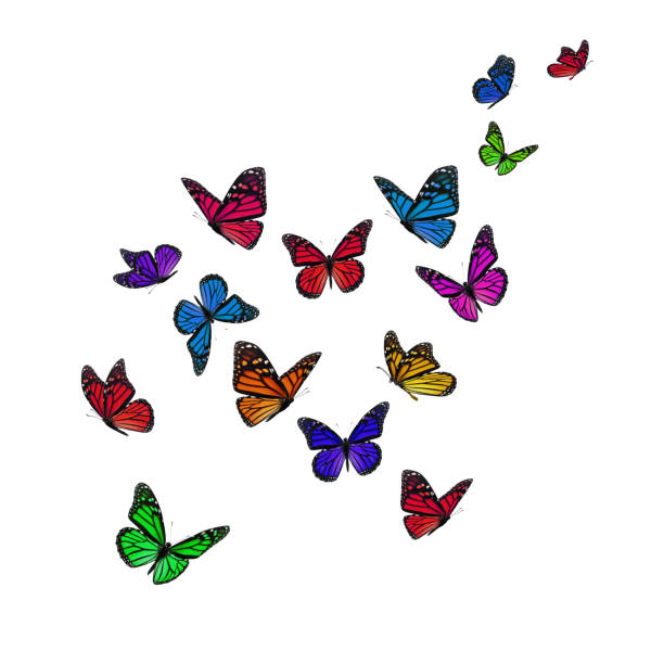 istock Beautiful monarch butterfly 1030122084
